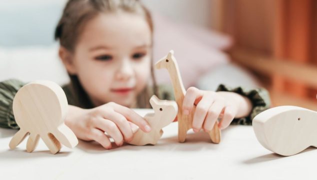 Essential Toys for preschoolers