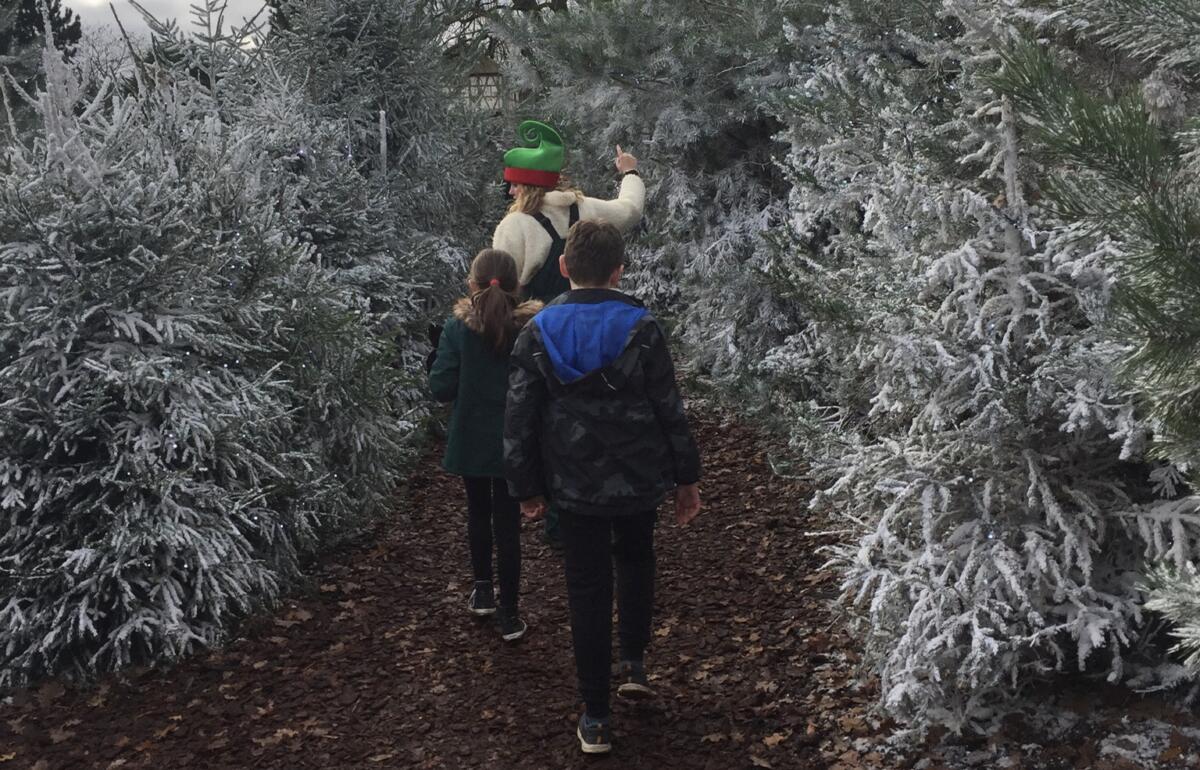 Walking through the snowy trees at Chessington to see Santa