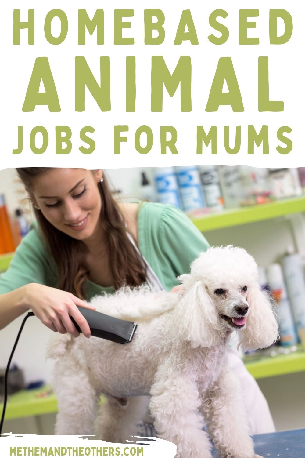 Home based animal jobs