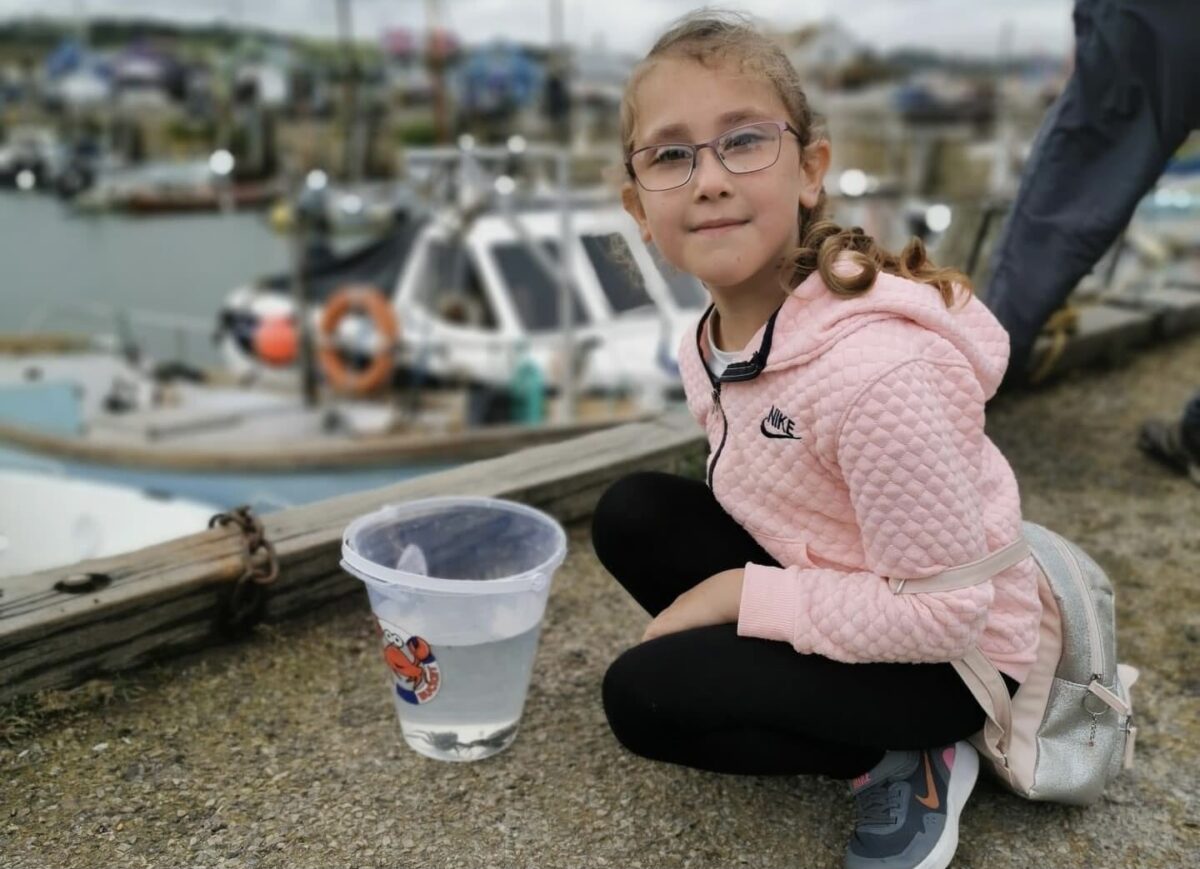 Catching Crabs at West Bay Dorset