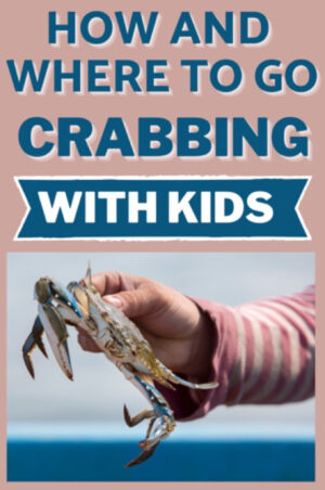 How and where to go crabbing and with kids